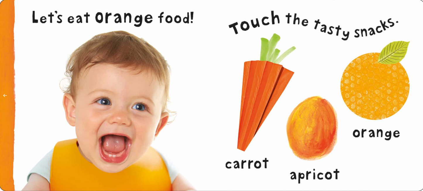 See, Touch, Feel: Colors
